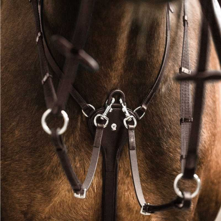Martingale Professional X-Line Brown in the group Horse Tack / Martingale & Breastplate / Martingale at Equinest (9579630VBR_r)