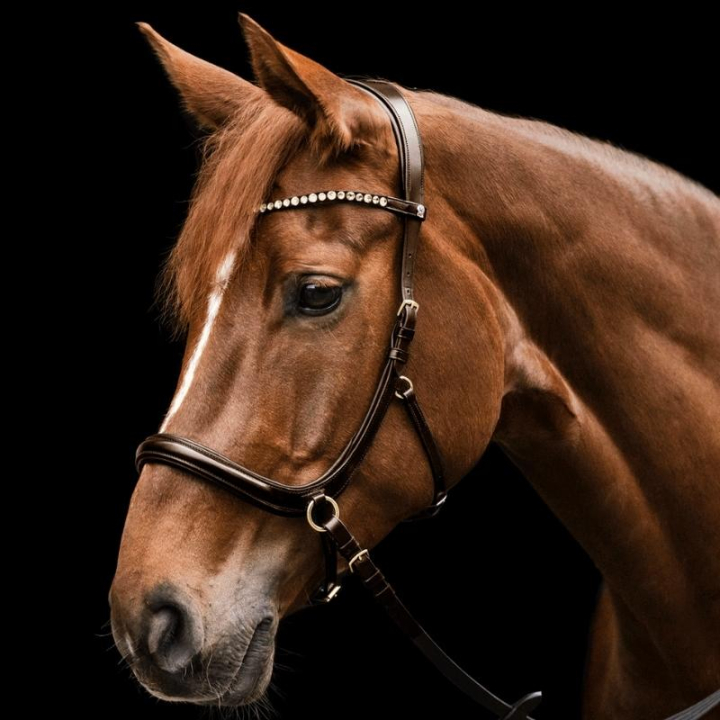 Bitless Bridle Sensation X-Line Brown in the group Horse Tack / Bridles & Browbands / Hackamores & Bitless Bridles at Equinest (9579830PBR_r)