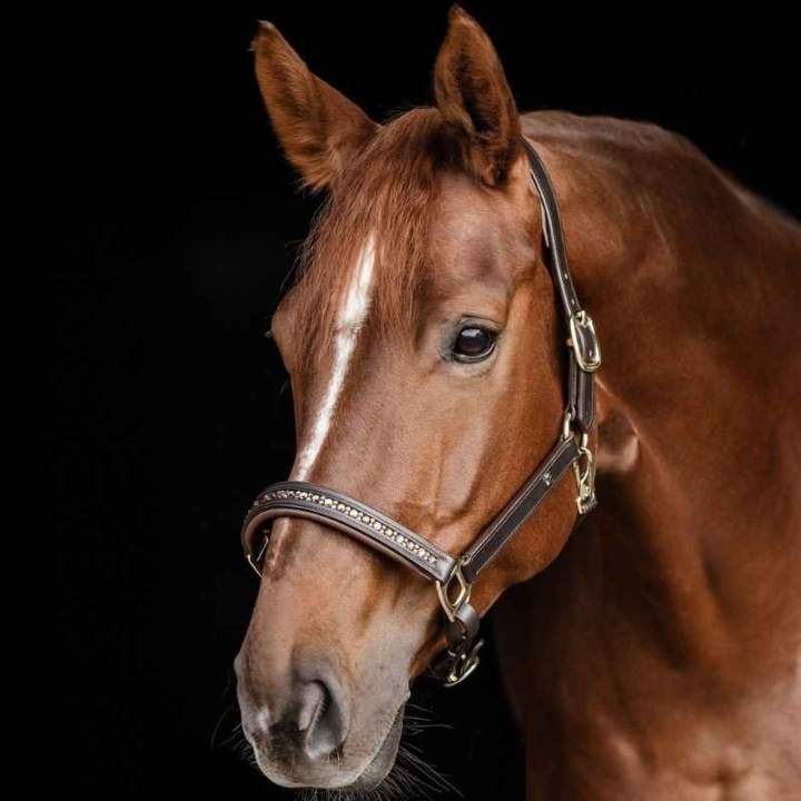 Leather Halter Crystal X-Line Brown in the group Horse Tack / Halters / Leather Halters at Equinest (9580930PBRBR_r)