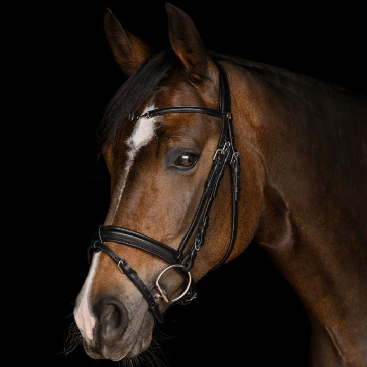 Bridle Charmbit X-Line Black in the group Horse Tack / Bridles & Browbands / Bridles at Equinest (9582501VBA_r)