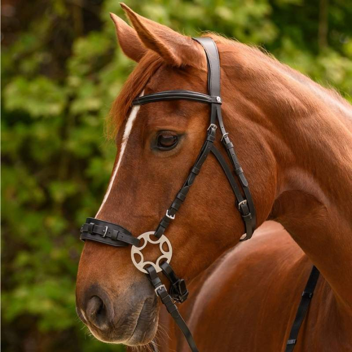 Hackamore Bridle Sensitive X-Line Black in the group Horse Tack / Bridles & Browbands / Hackamores & Bitless Bridles at Equinest (9582601VBA_r)