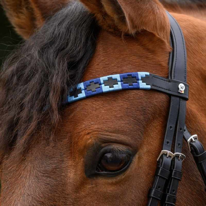 Browband Polo X-Line Black/Blue in the group Horse Tack / Bridles & Browbands / Browbands at Equinest (9589305VBABL_r)