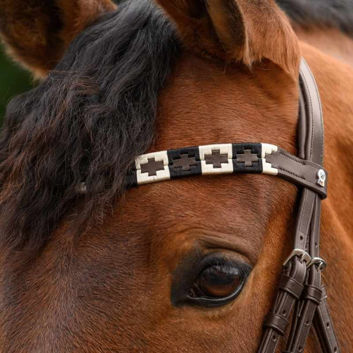Browband Polo X-Line Brown/Beige in the group Horse Tack / Bridles & Browbands / Browbands at Equinest (9589401VBRBR_r)
