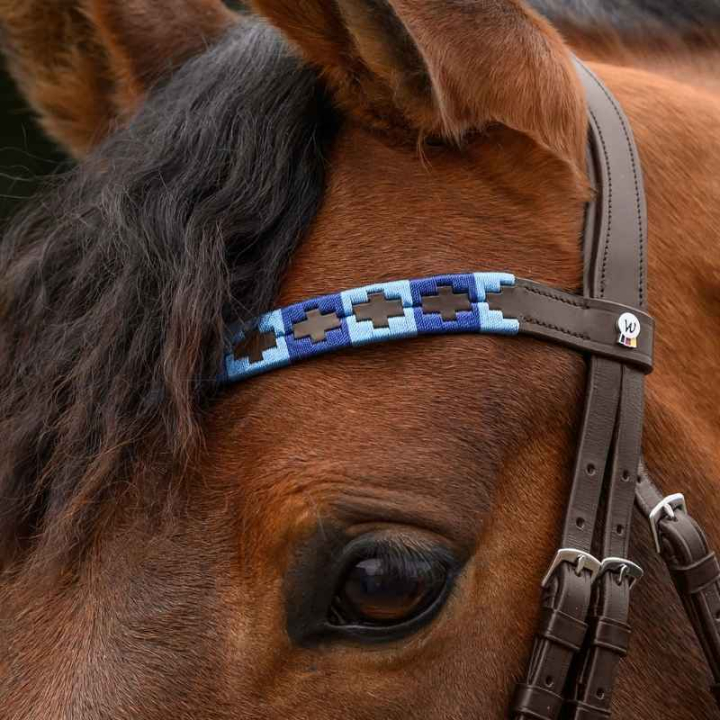 Browband Polo X-Line Brown/Blue in the group Horse Tack / Bridles & Browbands / Browbands at Equinest (9589405VBRBL_r)