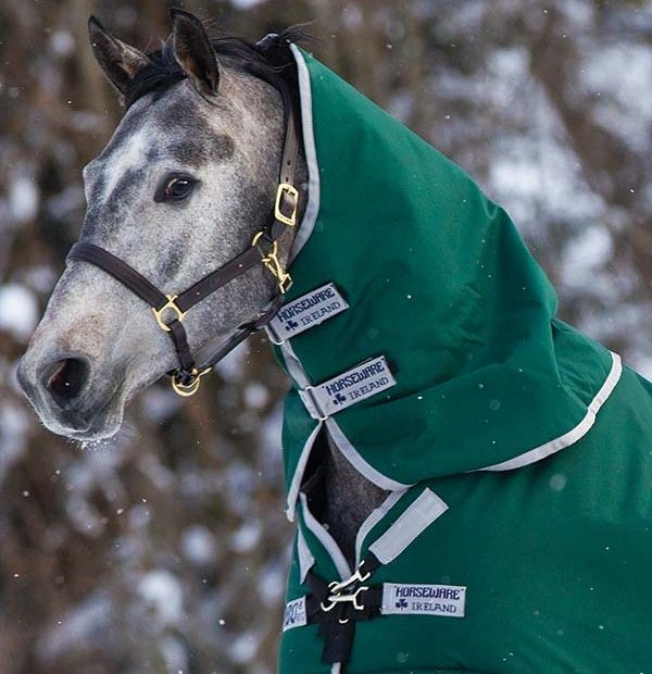 Rambo Original Neck Cover 0g Green in the group Horse Rugs / Horse Rug Accessories / Neck Covers at Equinest (AAAAN0_G_r)
