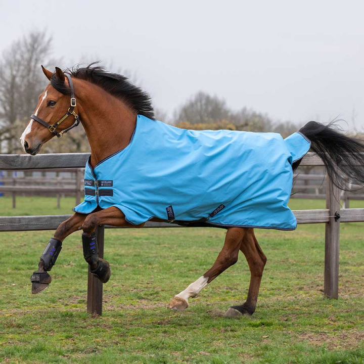 Rain Sheet Amigo Hero 900 0g Light Blue in the group Horse Rugs / Turnout Rugs / Rain Sheets at Equinest (AAMA90LjBl_r)