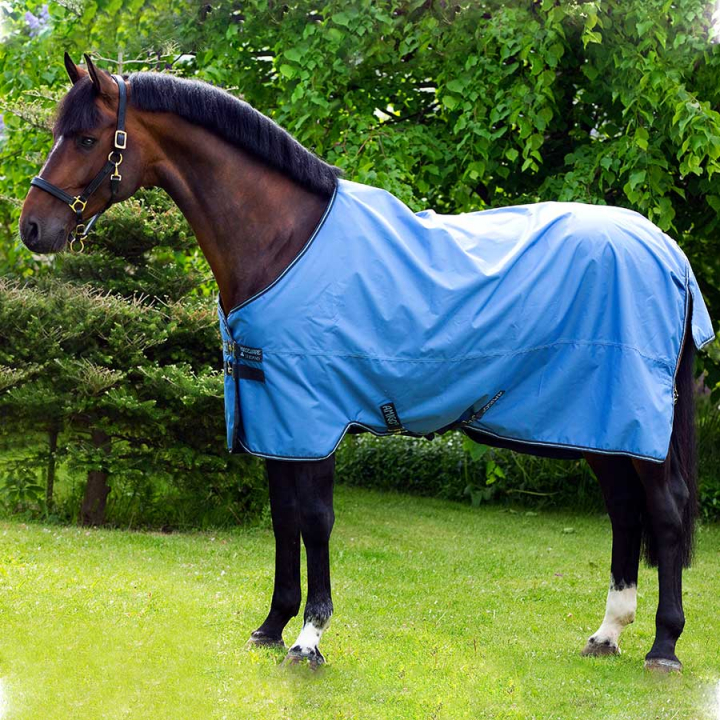 Rain Sheet Amigo Hero 900 50g Blue in the group Horse Rugs / Turnout Rugs / Rain Sheets at Equinest (AAMA91Bl_r)