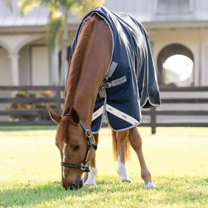 Winter Rug Amigo 1200D 250g Navy/Grey/Silver in the group Horse Rugs / Turnout Rugs / Winter Rugs at Equinest (AAOAL5BJI_r)