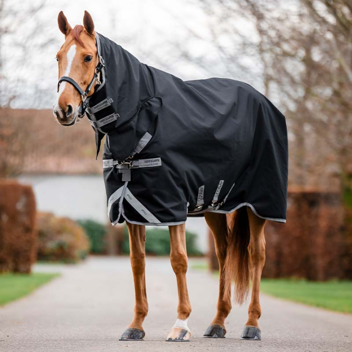 Turnout Rug Amigo Integrated 1200D 150g Black/Grey in the group Horse Rugs / Turnout Rugs / Lightweigt Rugs at Equinest (AAOJL3KJIBAGR_r)
