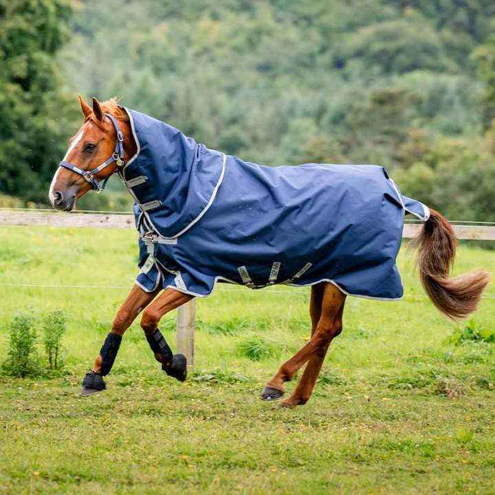 Rain Rug Amigo Plus 1200D 50g Navy/Grey/Silver in the group Horse Rugs / Turnout Rugs / Rain Rugs at Equinest (AAOPL1BJI_r)