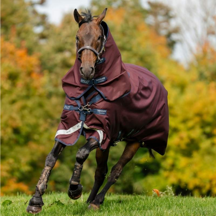 Rain Rug Amigo Plus 1200D 50g Burgundy/Navy/Grey in the group Horse Rugs / Turnout Rugs / Rain Rugs at Equinest (AAOPL1QBJRENAGR_r)