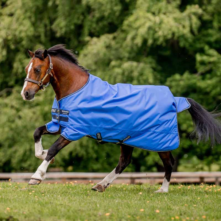 Rain Sheet Amigo Hero Ripstop Lite 0g Blue in the group Horse Rugs / Turnout Rugs / Rain Sheets at Equinest (AAPA90BL)