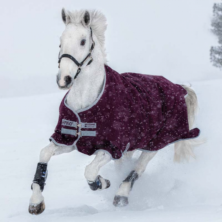 Winter Rug Amigo Hero Ripstop 200g Burgundy in the group Horse Rugs / Turnout Rugs / Winter Rugs at Equinest (AAPA93Vn_r)