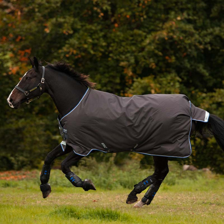 Turnout Rug Amigo Bravo 12 100g Brown in the group Horse Rugs / Turnout Rugs / Lightweigt Rugs at Equinest (AARA16Gr_r)