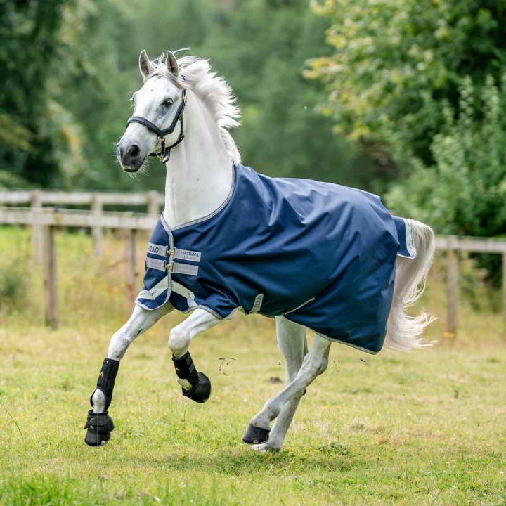 Turnout Rug Amigo Bravo 12 Original 100g Navy Blue/Gray  in the group Horse Rugs / Turnout Rugs / Lightweigt Rugs at Equinest (AARA16NA)