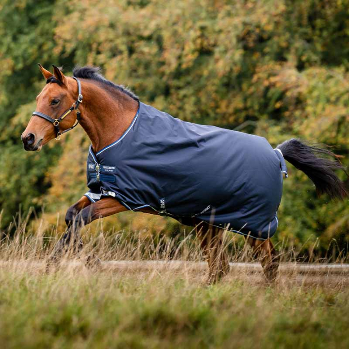Winter Rug Amigo Bravo 12 Original 250g Navy Blue/Black in the group Horse Rugs / Turnout Rugs / Winter Rugs at Equinest (AARA42NABA)