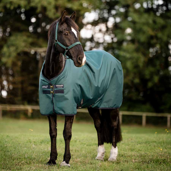 Turnout Rug Amigo Ripstop 900D 100g Green/Navy/Silver in the group Horse Rugs / Turnout Rugs / Lightweigt Rugs at Equinest (AARABFGBIGNMASI_r)