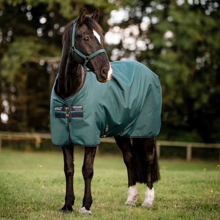 Rain Rug Amigo Ripstop 900D 0g Green/Navy/Silver in the group Horse Rugs / Turnout Rugs / Rain Rugs at Equinest (AARAG0GBGNMASI_r)