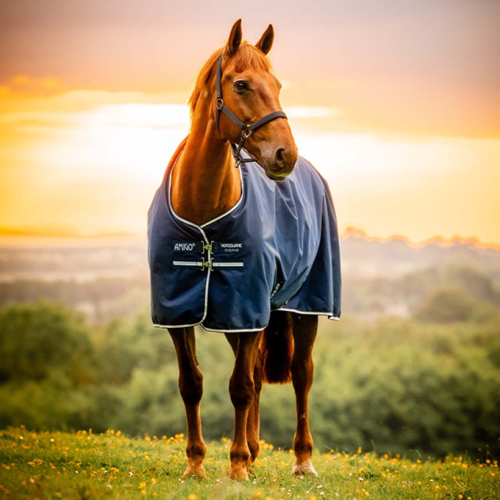 Rain Rug Amigo Ripstop 900D Fleece Lined 50g Witney Navy in the group Horse Rugs / Turnout Rugs / Rain Rugs at Equinest (AARAGFVRKWNA_r)