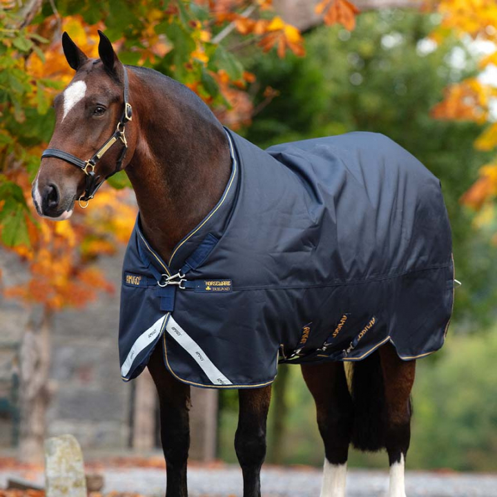 Winter Rug Amigo Bravo 12 XL Original 250g Navy Blue/Gold in the group Horse Rugs / Turnout Rugs / Winter Rugs at Equinest (AARG03NA)