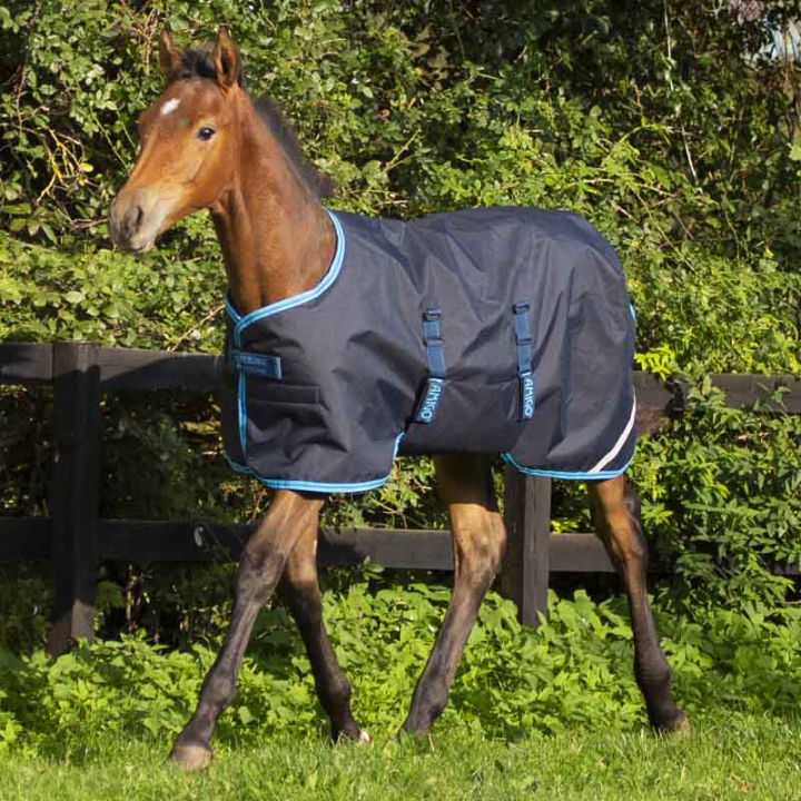 Foal Rug Amigo Ripstop 200g Navy Blue/Light Blue in the group Horse Rugs / Turnout Rugs / Rain Rugs at Equinest (AARHJ4NA)