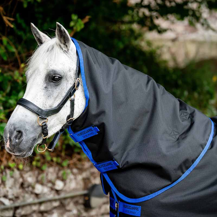 Neck Amigo Ripstop 900D 150g Black/Blue in the group Horse Rugs / Neck Covers at Equinest (AARN13KDDBABL_r)
