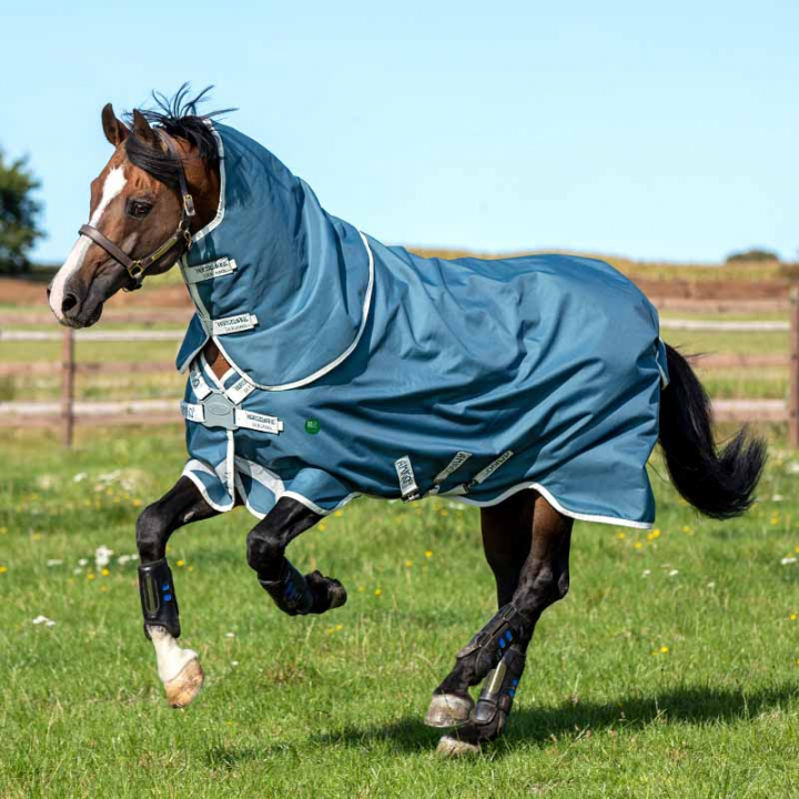 Winter Rug AmEco Bravo 12 Plus 0Turnout 100g Turquoise in the group Horse Rugs / Turnout Rugs / Winter Rugs at Equinest (AAROJ2TU)