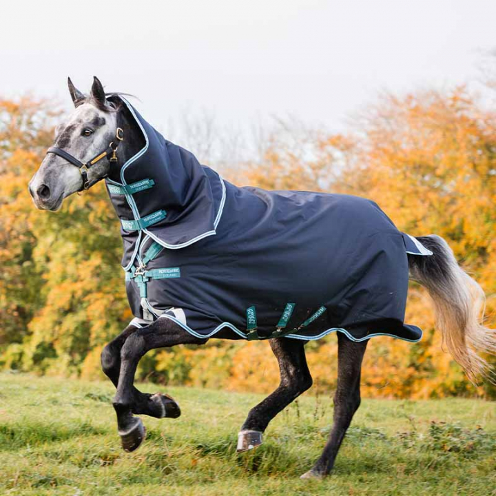 Winter Rug Amigo Bravo 12 250g Navy Blue in the group Horse Rugs / Turnout Rugs / Winter Rugs at Equinest (AARP72Ma_r)