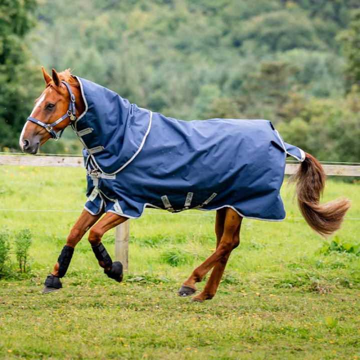 Winter Rug with Hood Amigo Bravo 12 Plus 250g Navy Blue/Gray in the group Horse Rugs / Turnout Rugs / Winter Rugs at Equinest (AARP72NA)