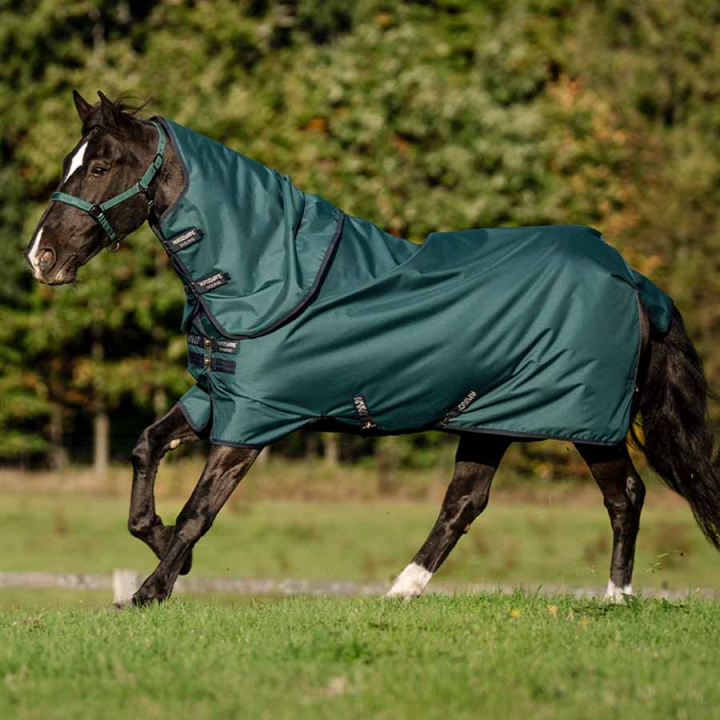 Turnout Rug Amigo Ripstop 900D Plus 100g Green/Navy/Silver in the group Horse Rugs / Turnout Rugs / Lightweigt Rugs at Equinest (AARPG2GBIGNMASI_r)