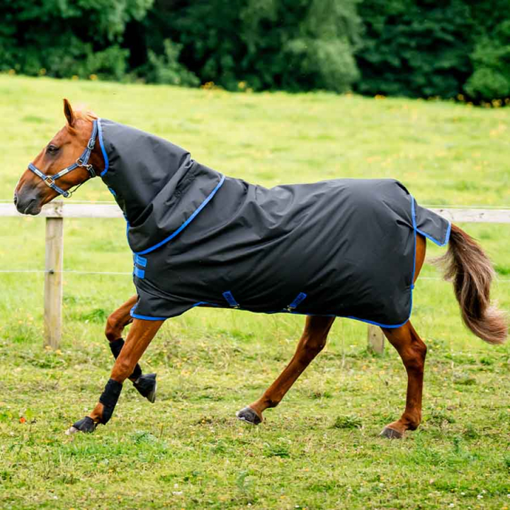 Winter Rug with Hood Amigo Ripstop 900 Plus 200g Black/Blue in the group Horse Rugs / Turnout Rugs / Winter Rugs at Equinest (AARPG4BA)