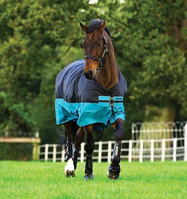 Mio Turnout Lite 0g Black/Turquoise 100 in the group Horse Rugs / Turnout Rugs / Rain Sheets at Equinest (AASA41BT-100)