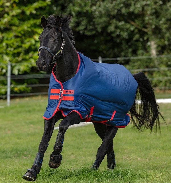 Mio Turnout Lite 0g Dark Blue in the group Horse Rugs / Turnout Rugs / Rain Sheets at Equinest (AASA41_D_r)