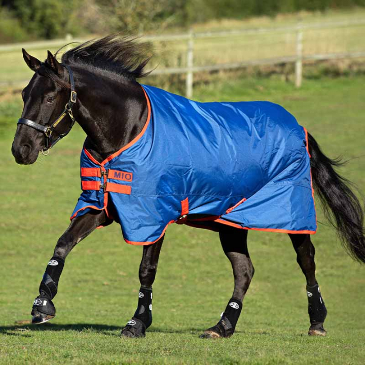 Winter Rug Mio 200g Dark Blue in the group Horse Rugs / Turnout Rugs / Winter Rugs at Equinest (AASA42Bl_r)