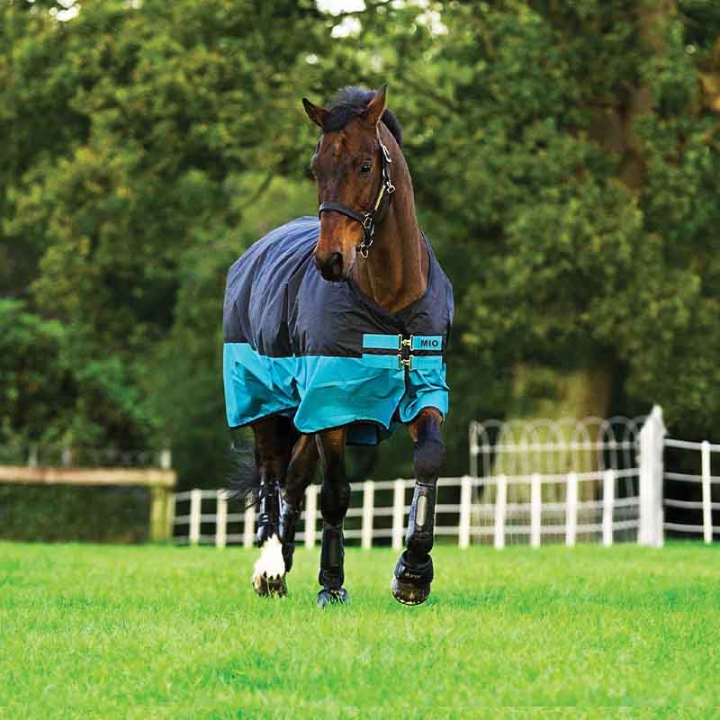Winter Rug Mio 200g Black in the group Horse Rugs / Turnout Rugs / Winter Rugs at Equinest (AASA42Sv_r)