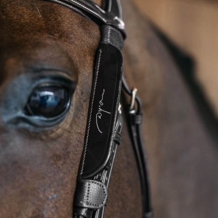 Blinkers Fancy Stitching Black in the group Horse Tack / Bridles & Browbands / Bridle Accessories at Equinest (AB99QBLBA)