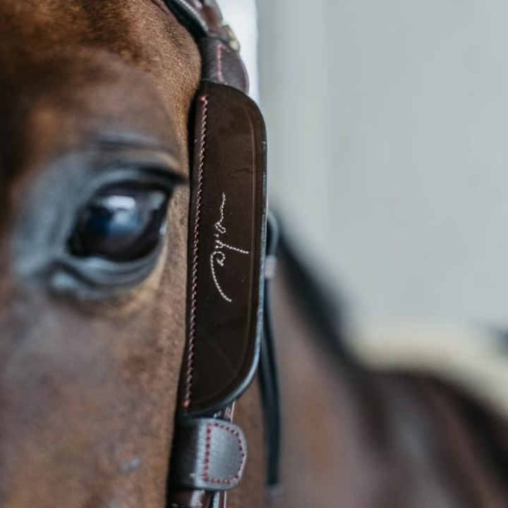 Blinkers Fancy Stitching Brown in the group Horse Tack / Bridles & Browbands / Bridle Accessories at Equinest (AB99QBRBR)