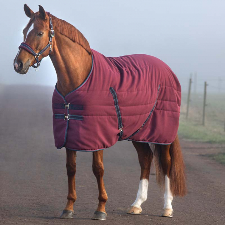 Stable Rug Rambo 100g Burgundy in the group Horse Rugs / Stable Rugs at Equinest (ABAAA2Vn_r)