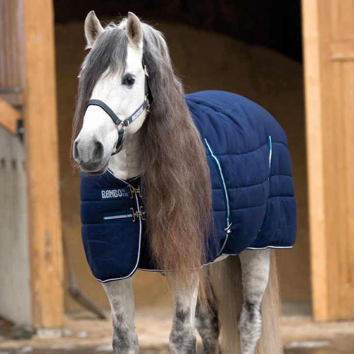 Stable Rug Rambo 200g Navy Blue in the group Horse Rugs / Stable Rugs at Equinest (ABAAA3Ma_r)