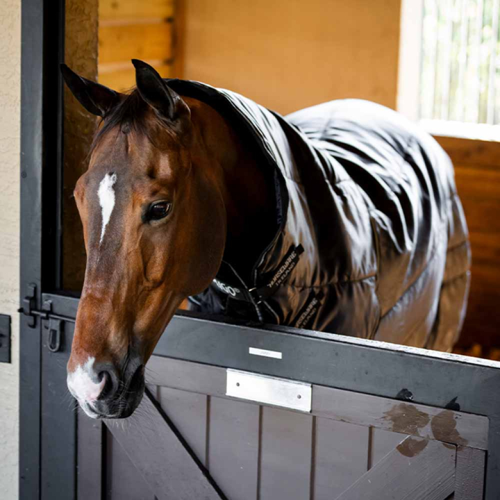 Stable Rug Amigo Insulator Ripstop 210D Plus 200g Black/Silver  in the group Horse Rugs / Stable Rugs at Equinest (ABRFB4KKIBASI_r)