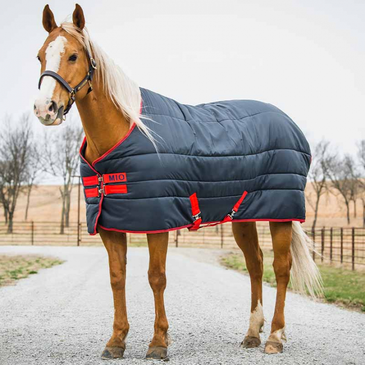 Stable Rug Mio Insulator 150g Navy in the group Horse Rugs / Stable Rugs at Equinest (ABSB32Ma_r)