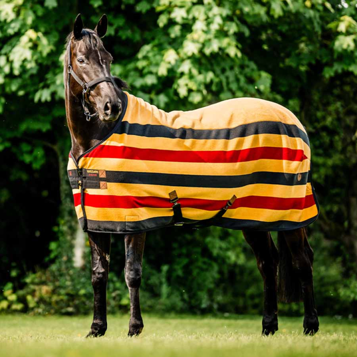 Fleece Rug Newmarket Cooler Witney Gold in the group Horse Rugs / Fleece Rugs at Equinest (ACHFBNVRKWGO_r)