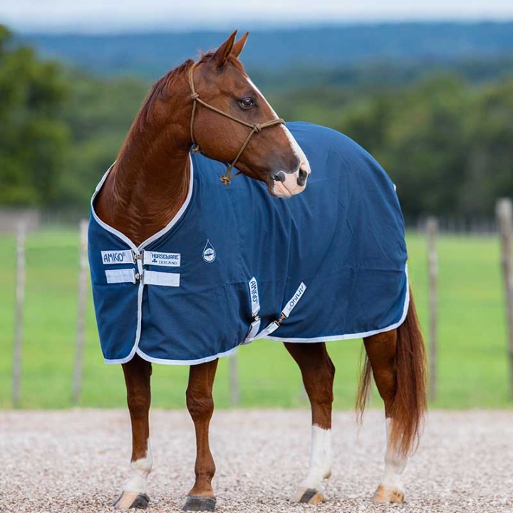 Amigo Stable Rug Navy 0g in the group Horse Rugs / Stable Rugs at Equinest (ADRF22_N_r)