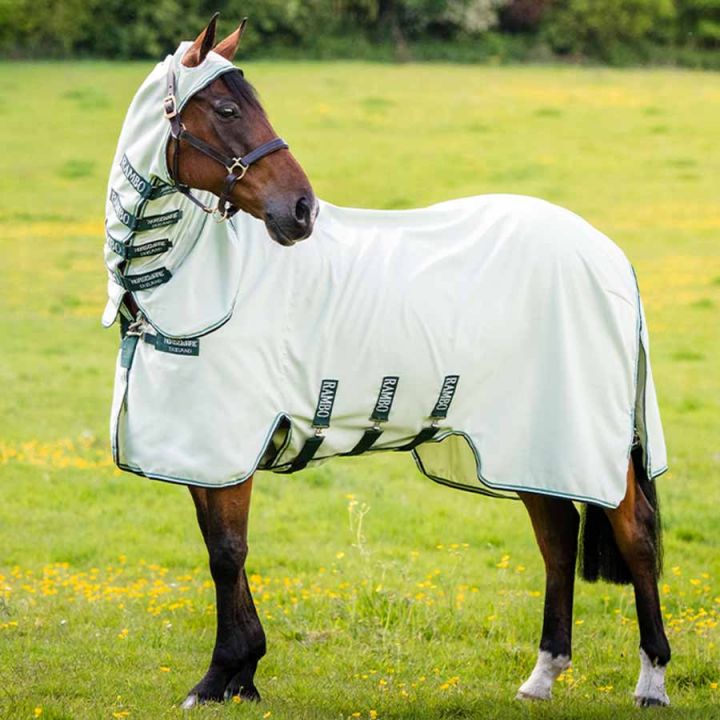 Rambo Hoody Fly & EczeMa Rug 0with Fly Hood Light Green in the group Horse Rugs / Fly Rugs & Eczema Rugs at Equinest (AFAP70_Gn_r)