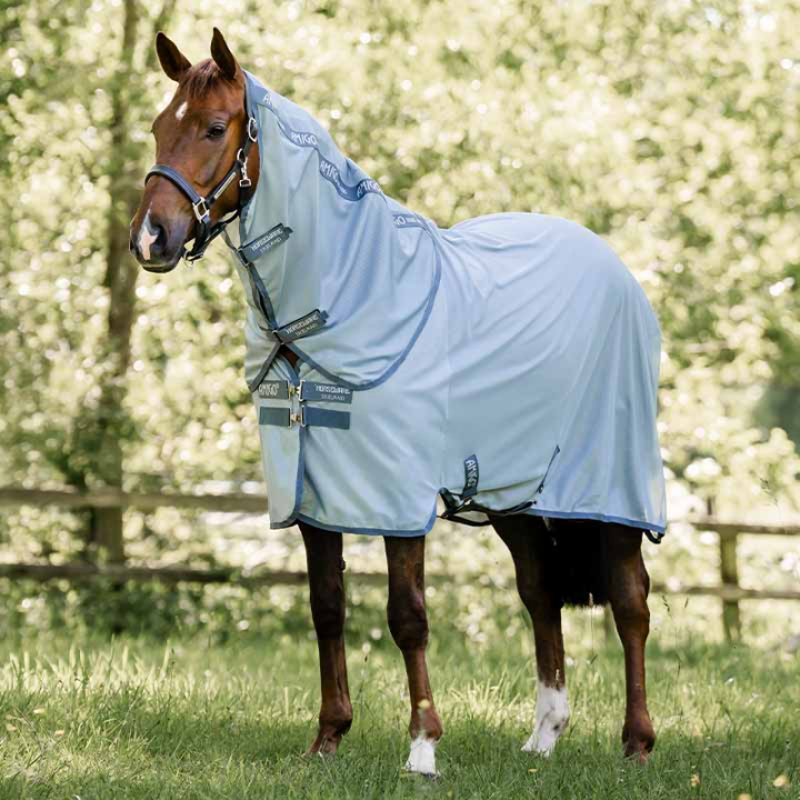 Fly Rug Amigo Bug Rug Plus Light Blue/Blue/Silver in the group Horse Rugs / Fly Rugs & Eczema Rugs at Equinest (AFRNGPCCLBLBLSI_r)