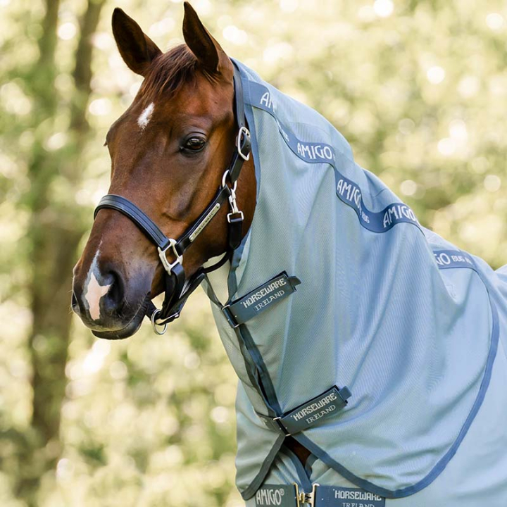 Neck Amigo Bug Rug Light Blue/Blue/Silver in the group Horse Rugs / Neck Covers at Equinest (AFRNNNCCLBLBLSI_r)