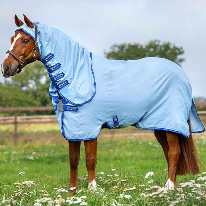 Fly & EczeMa Rug Amigo Ripstop Hoody Blue in the group Horse Rugs / Fly Rugs & Eczema Rugs at Equinest (AFROJ0Bl_r)