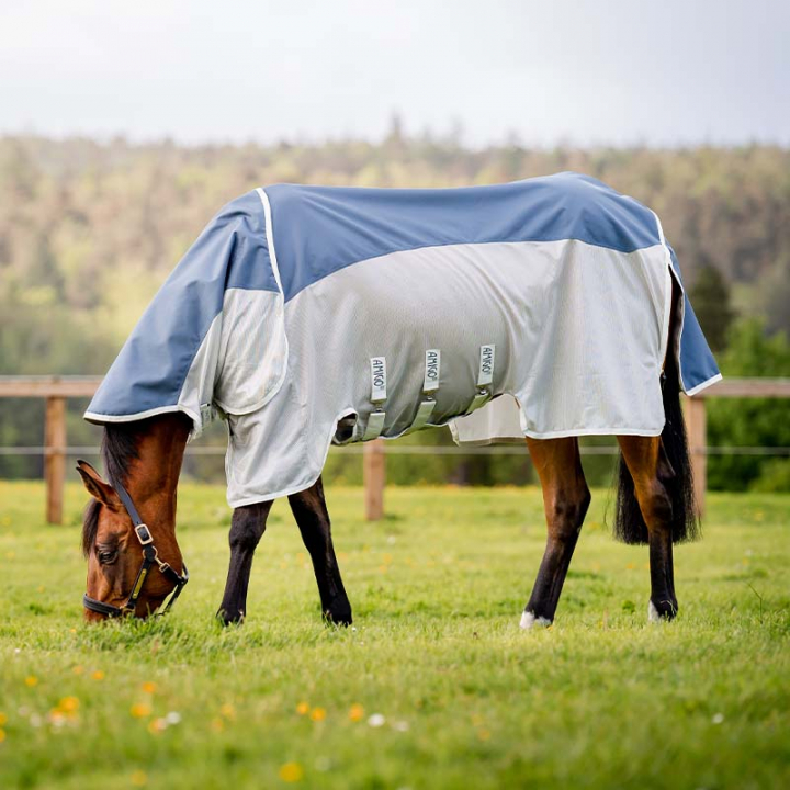 Fly Rug Amigo AmEco Combi Turquoise/Grey in the group Horse Rugs / Fly Rugs & Eczema Rugs at Equinest (AFRPLETU)
