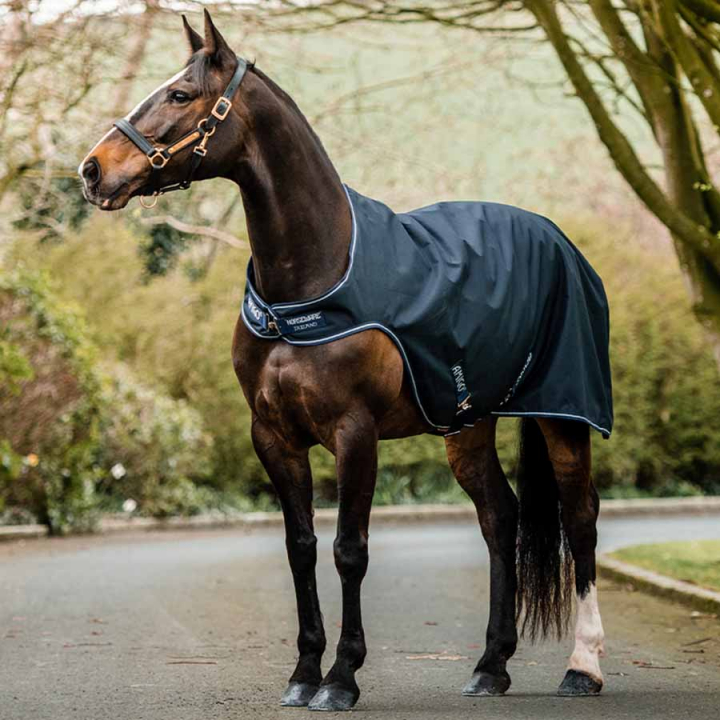 Exercise Machine Rug Amigo Walker 100g Black/Silver in the group Horse Rugs / Walker Rugs at Equinest (AGRW41-KIR0-BASI)