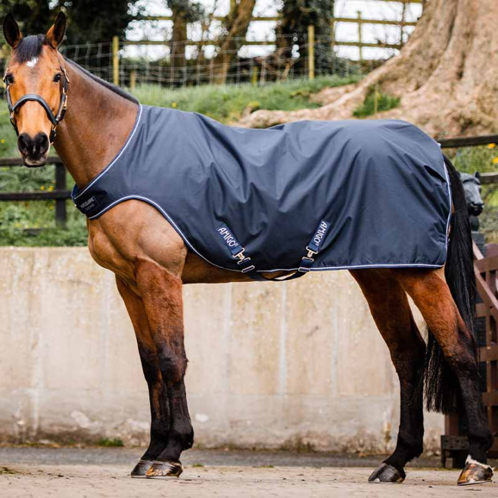 Exercise Sheet Amigo Walker Navy Blue in the group Horse Rugs / Walker Rugs at Equinest (AGRW41Ma_r)